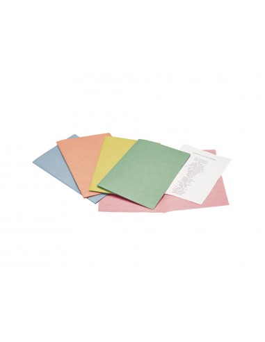 Subcarpeta paper liderpapel din a4...