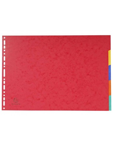 Separador exacompta cartolina...