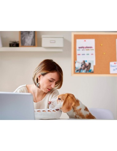 Pizarra corcho q-connect 120x90 cm...