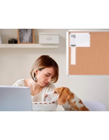 Pissarra suro q-connect marc...