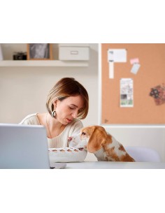 Pizarra corcho q-connect... 2