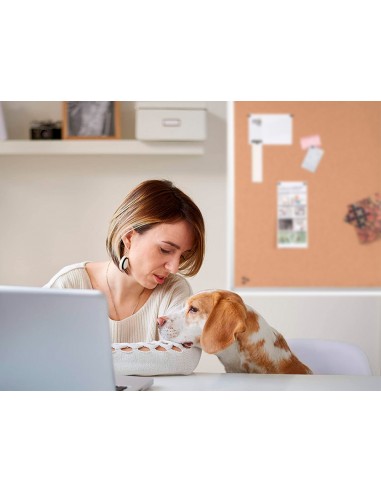 Pissarra suro q-connect 120x90 cm...