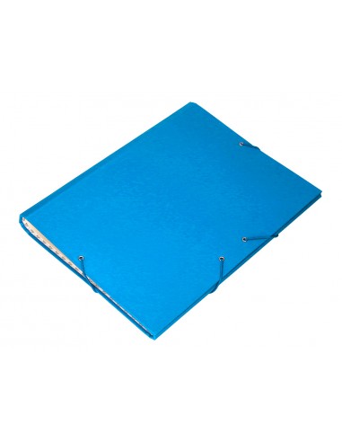 Carpeta classificadora liderpapel 12...