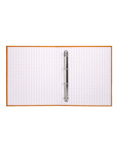 Carpeta de 4 anillas 25mm mixtas...