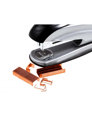 Grapes q-connect. 23/6 cobrejades...