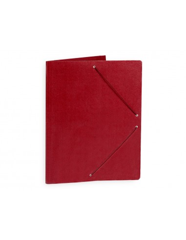 Carpeta plans liderpapel a3 cartró...