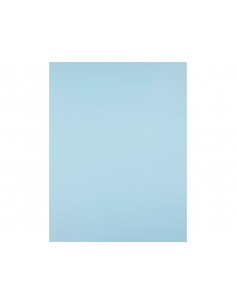 Cartulina liderpapel 50x65... 2