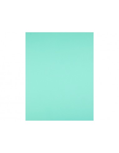 Cartolina liderpapel 50x65 cm 180g/m2...