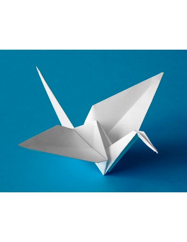 Cartolina liderpapel 50x65 cm 180g/m2...