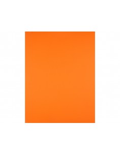 Cartulina liderpapel 50x65... 2