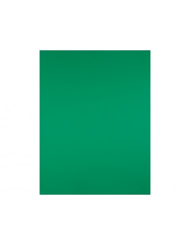 Cartolina liderpapel 50x65 cm verd...