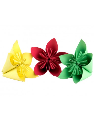 Cartolina liderpapel 50x65 cm verd...