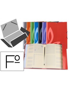 Carpeta liderpapel gomas...