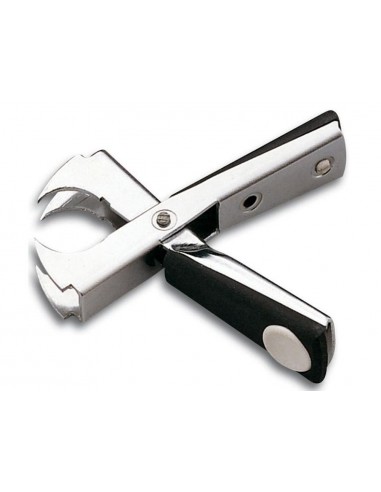 Extraegrapes petrus 110 metàl·lic de...