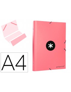 Carpeta antartik...