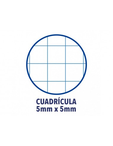 Recanvi color 1 oxford din a4+ 80...