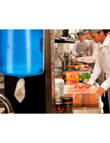 Dispensador higienico q-connect de...