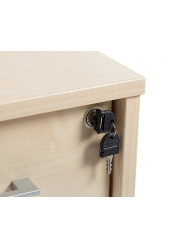 Calaixera rocada amb 3 calaixos sèrie...