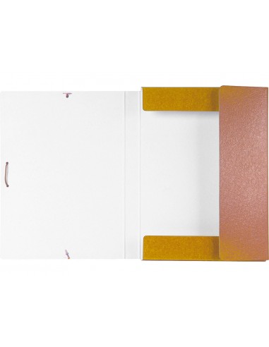 Carpeta proyectos liderpapel folio...