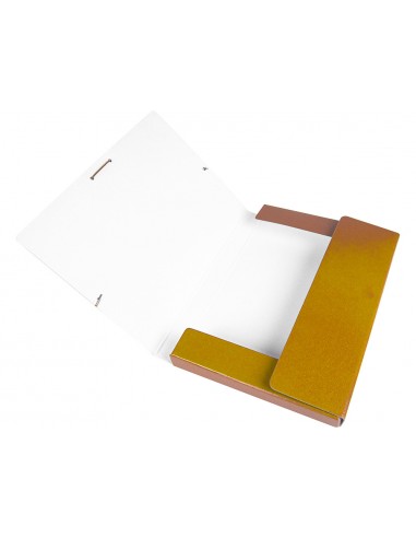 Carpeta proyectos liderpapel folio...