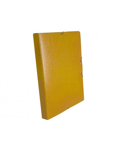 Carpeta proyectos liderpapel folio...