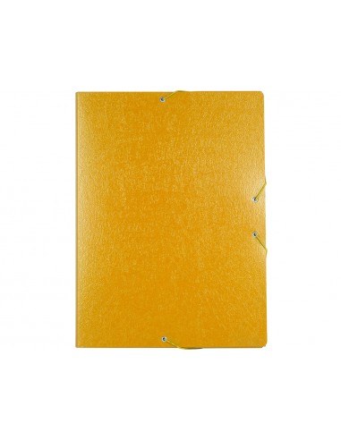 Carpeta proyectos liderpapel folio...