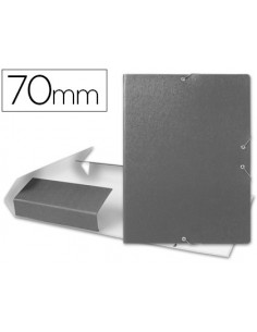 Carpeta proyectos...