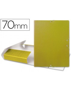 Carpeta proyectos...