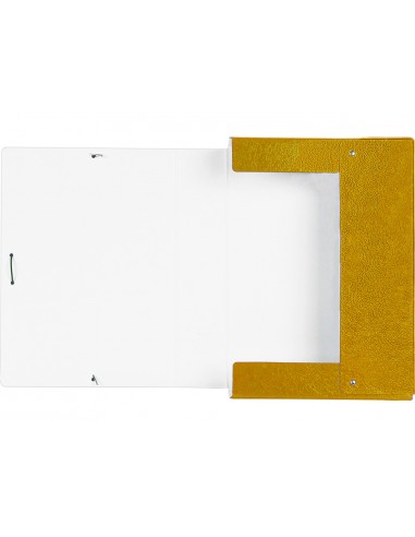 Carpeta proyectos liderpapel folio...