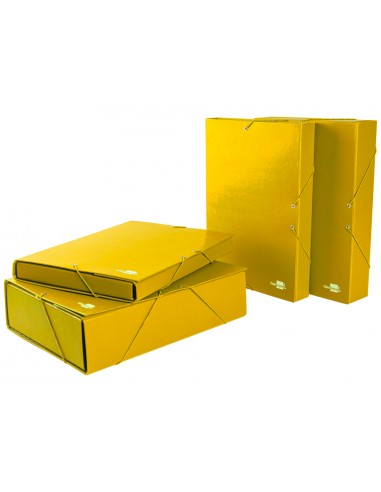 Carpeta proyectos liderpapel folio...