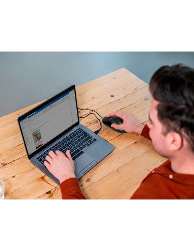 Ratolí q-connect optic 800 dpi usb...