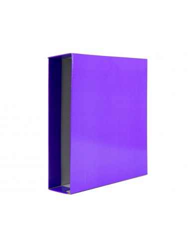 Caja archivador liderpapel de palanca...