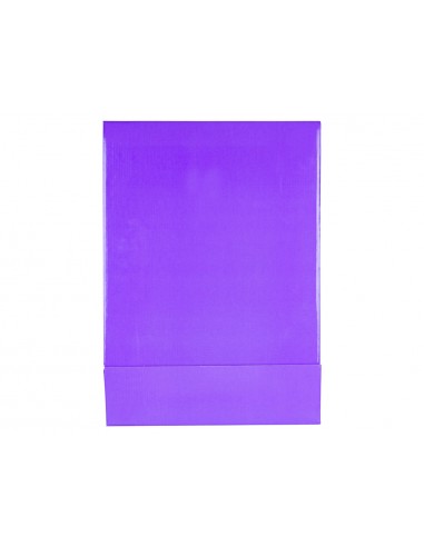 Caja archivador liderpapel de palanca...