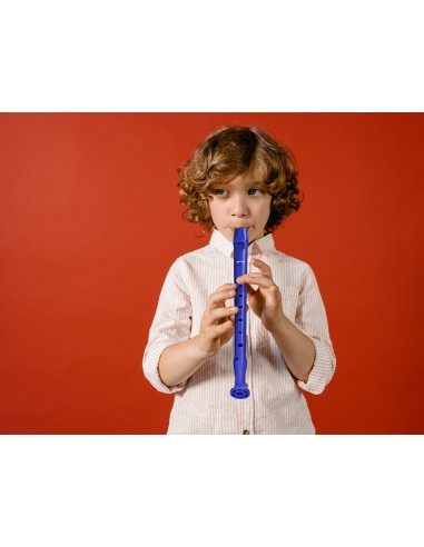 Flauta hohner 9508 color azul funda...