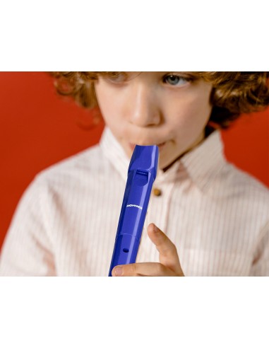 Flauta hohner 9508 color azul funda...