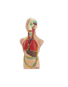 Juego miniland anatomia...