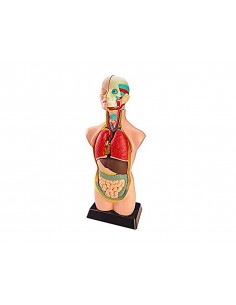 Juego miniland anatomia... 2