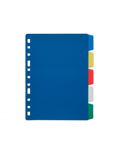Separador liderpapel plàstic joc de 5...