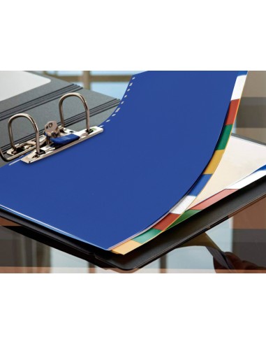 Separador liderpapel plàstic joc de 5...