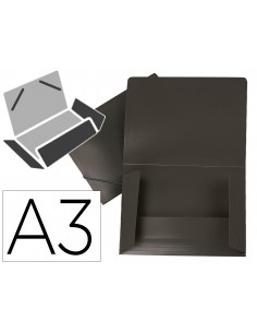 Carpeta liderpapel...