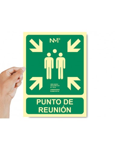 Pictograma archivo 2000 punt de...