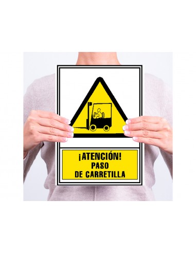 Pictograma archivo 2000 atenció pas...