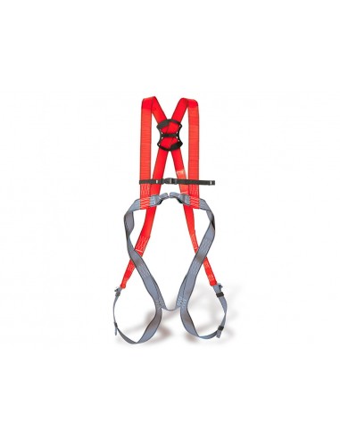 Arns anticaides faru dorsal i...