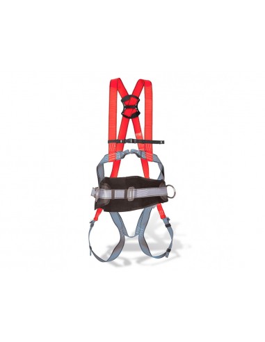 Arnes anticaidas faru dorsal y...