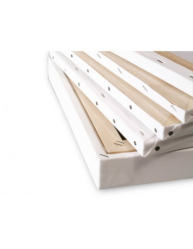 Bastidor llidercolor 4p llenç grapat...