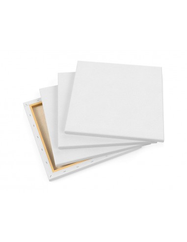 Bastidor llidercolor 4p llenç grapat...