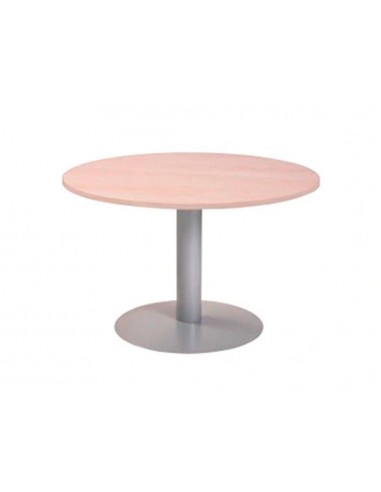 Taula reunió rodona meeting 3005at01...