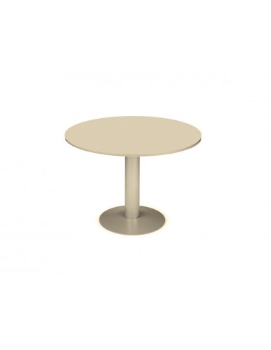 Taula reunió rodona meeting 3006at01...