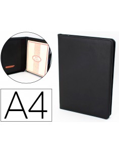 Carpeta portafolios...