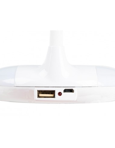 Làmpada infantil liderpapel...